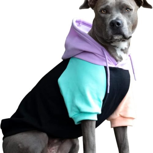 Spark Paws Dog Hoodie