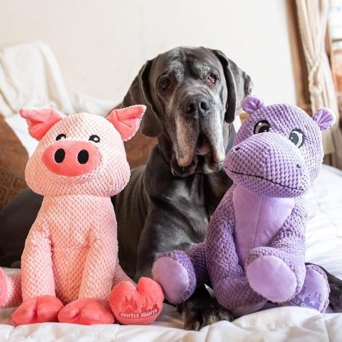 Gentle Giants Plush Pig Dog Toy